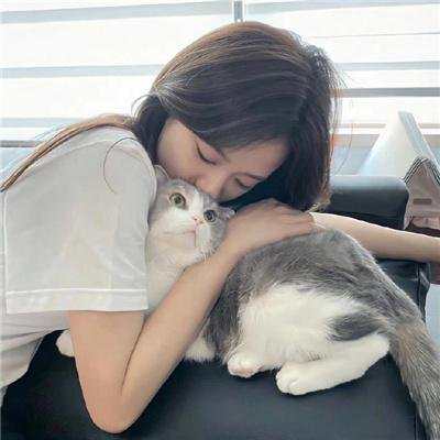 七个问候