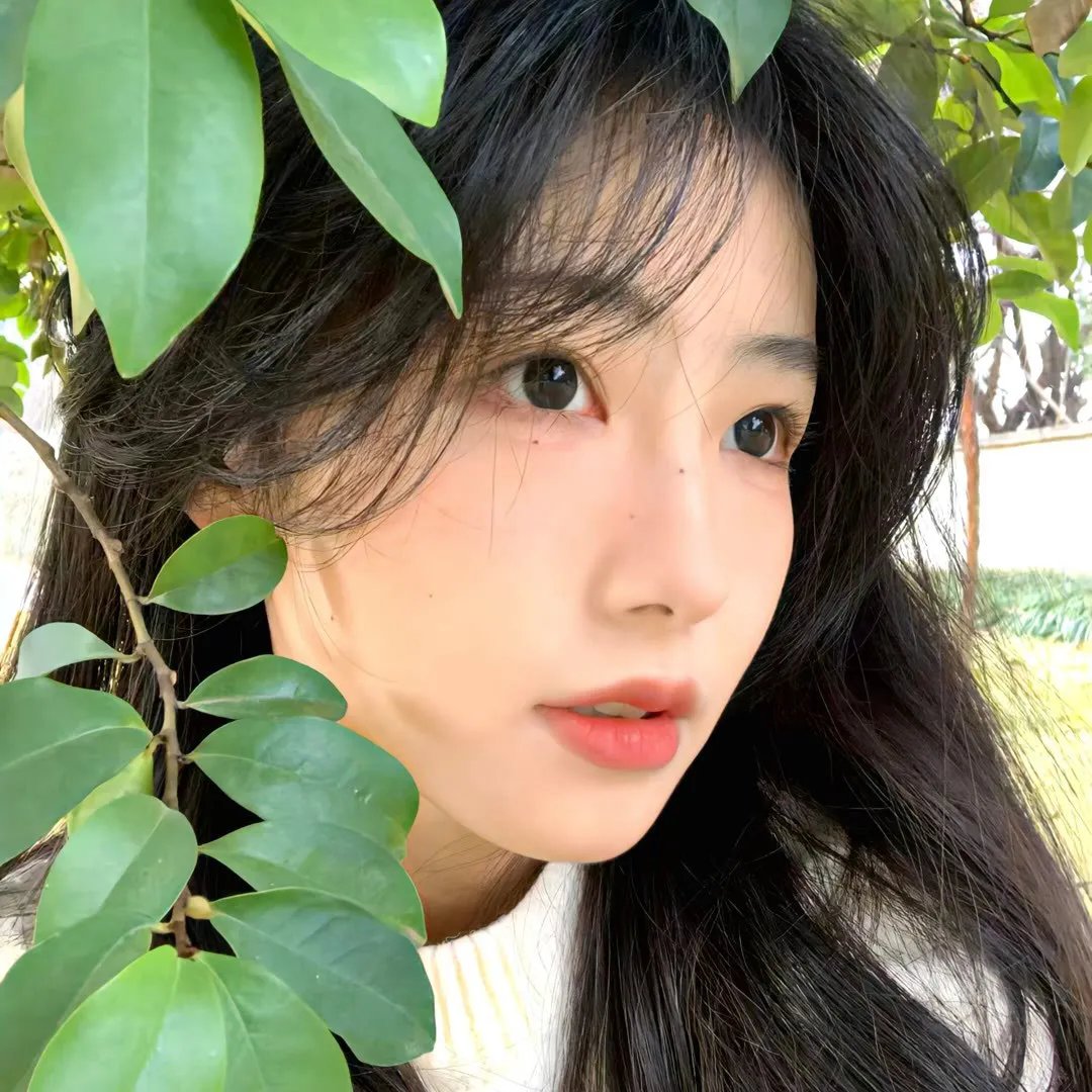 丽莎